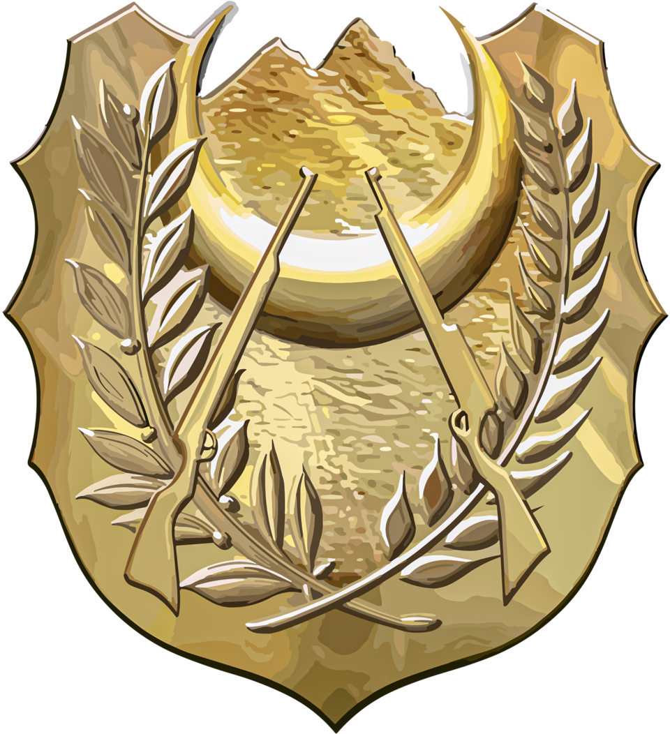 ANP Armée nationale populaire